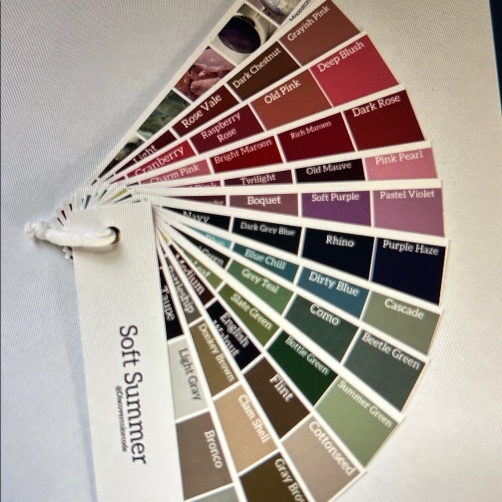 Soft Summer Color Swatch Fan Deck - Personal Color Seasonal analysis - Picture 11 of 14
